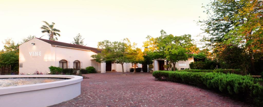 Vine Guesthouse Stellenbosch Exterior foto