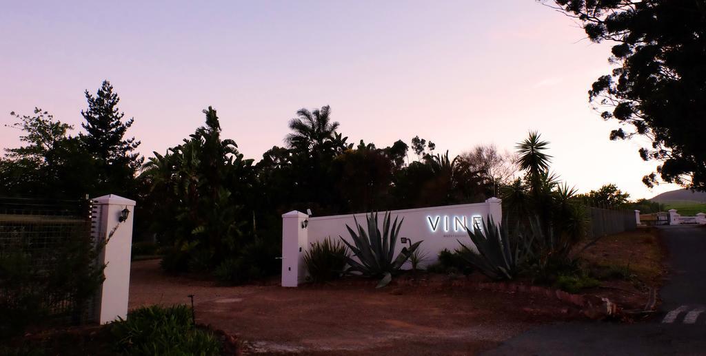 Vine Guesthouse Stellenbosch Exterior foto
