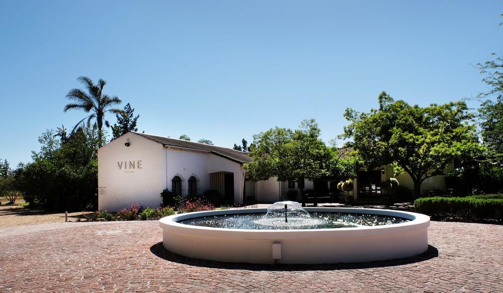 Vine Guesthouse Stellenbosch Exterior foto